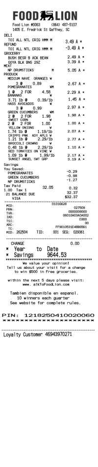 Food Lion receipt template image