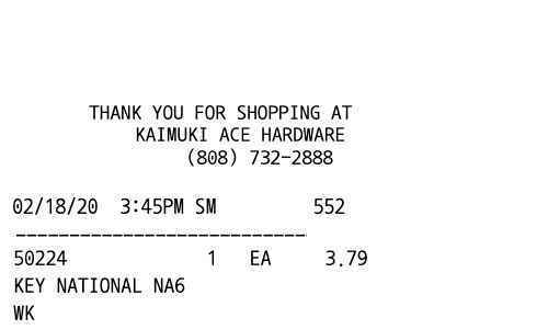 ACE Hardware receipt template image